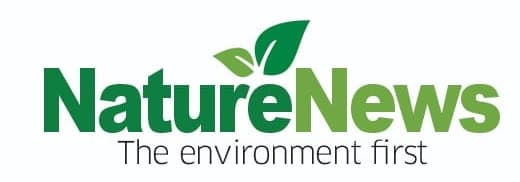Article image for Igugu Global launches Africa’s Green Finance Marketplace